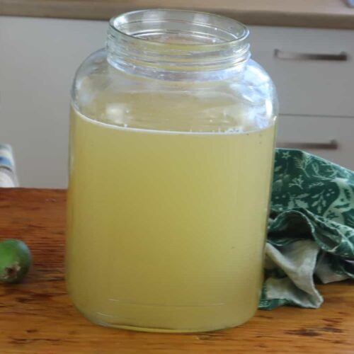 fermented feijoa juice