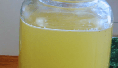 fermented feijoa fruit juice