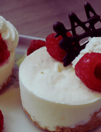 easy no bake mini cheesecakes