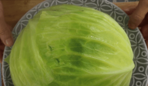cabbage cool down