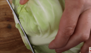 trim the base of the cabbage