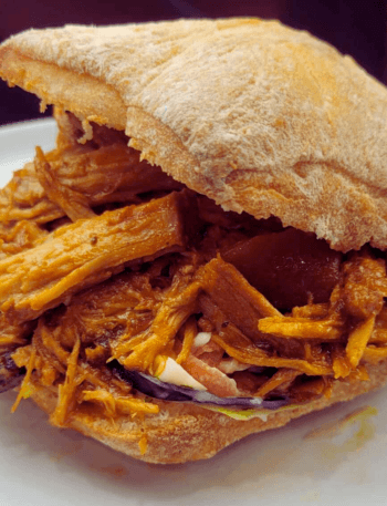 best pulled pork slow cooker recipe
