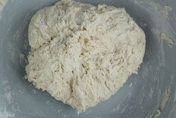 pizza dough raw