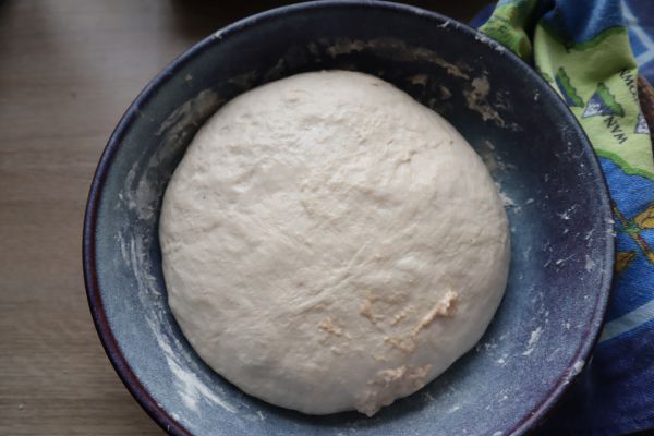 naan bread dough after 4 hours