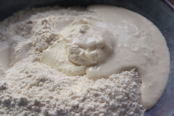 yogurt and starter in a bowl for the naan bread