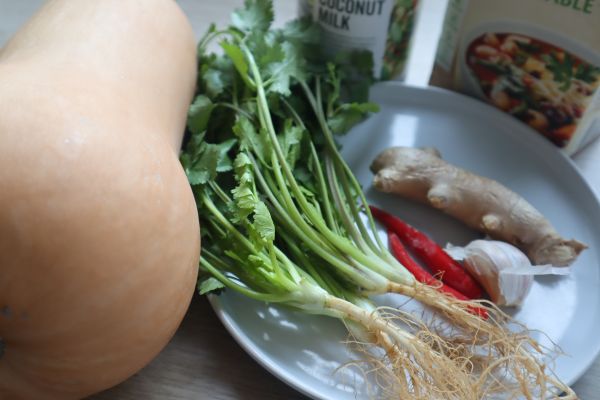 ingredients pumpkin soup Ingredients for butternut pumpkin soup